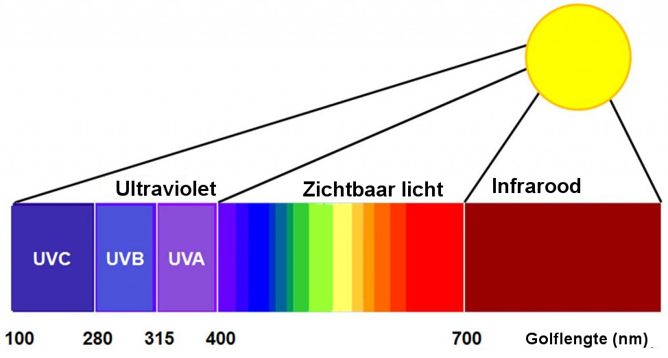 Middelen Bedrog beweeglijkheid Blauw licht: Wat is het en hoe gaat het in zijn werking?